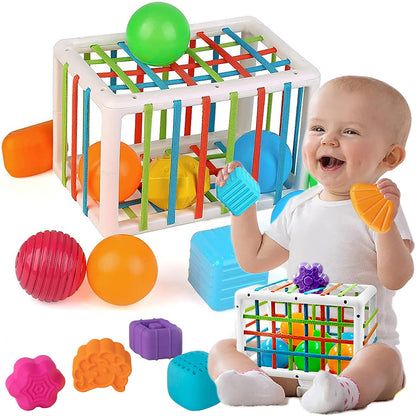 Sensory Exploration Shape Toy Set for Infants